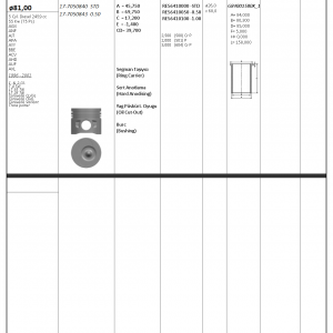 PİSTON SEGMAN 050 81mm (VW: T4-LT35 2.5 TDI) (1.2 PİSTON)
