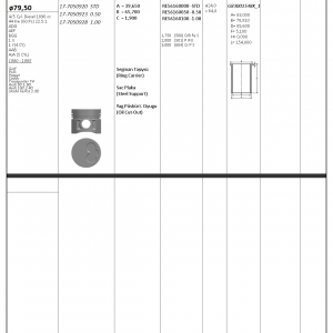 PİSTON SEGMAN STD 79.5mm (VW: T4 2.4) (24 LÜK PİM) (AAB-AJA)