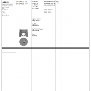 PİSTON SEGMAN STD 81.0mm (VW: T5) (1.2 PİSTON) (AXD-AXE-BLJ) EURO 3-BNZ