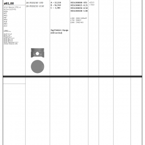 PİSTON SEGMAN 050 81mm (VW: GOLF VI-BORA-PASSAT / AUDI: A3-A4-A6 1.8 / SKODA: OCTAVİA 1.8 20V)