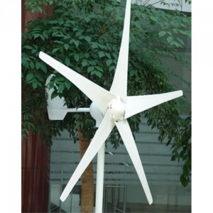 700W 12V 6 Kanat Rüzgar türbini + Şarz Kontrol cihazı